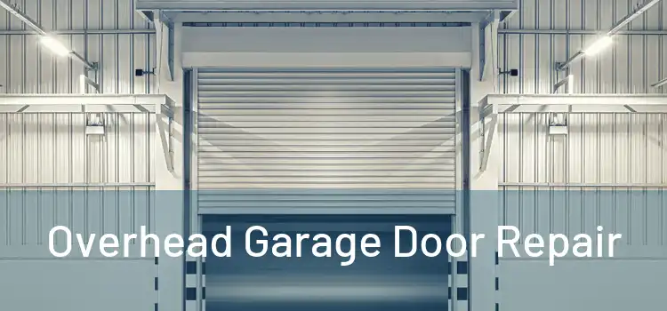  Overhead Garage Door Repair 